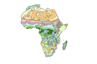 Vegetation Map Of Africa